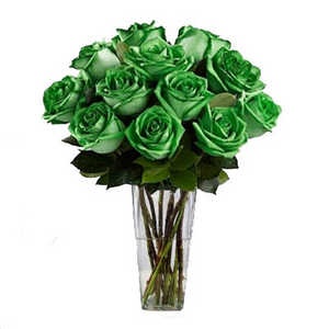 Букет из 13 зеленых роз