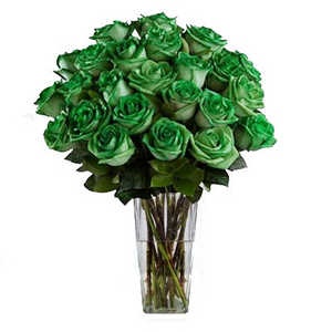 Букет из 25 зеленых роз