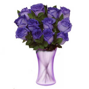 Букет из 13 фиолетовых роз